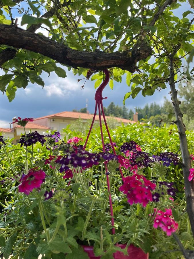 Hotel Sun Sight Pefkochori Dış mekan fotoğraf